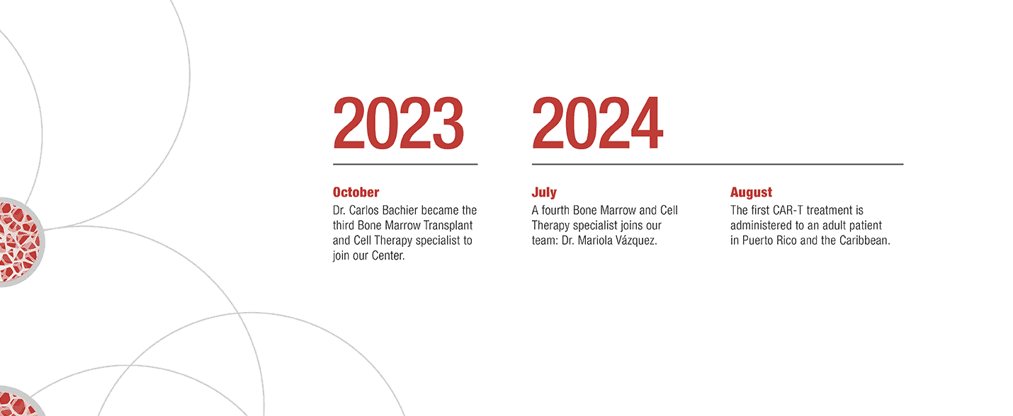 bmt-2023-2024-en