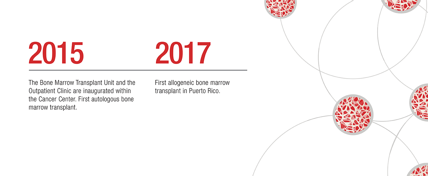 Infografia-WEB_2015-2017-EN