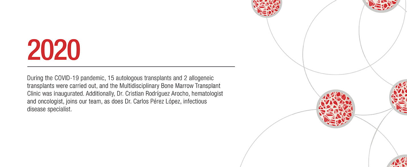 Infografia-WEB_2020-EN