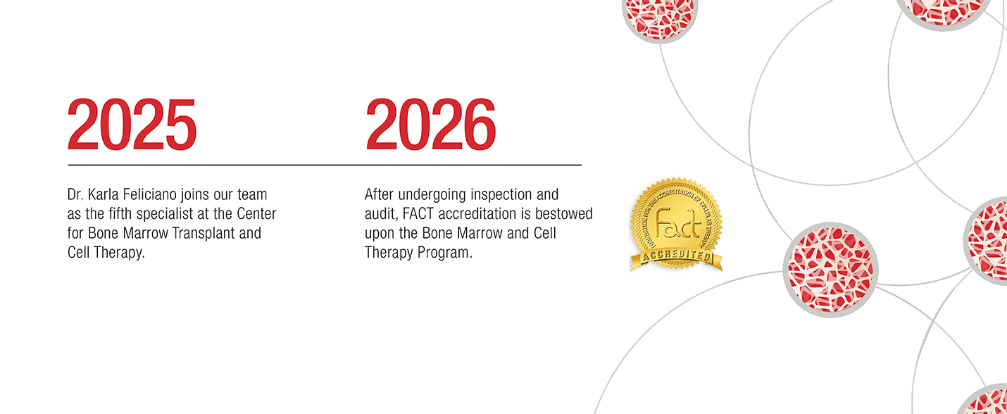 Infografia-WEB_2025-2026-EN
